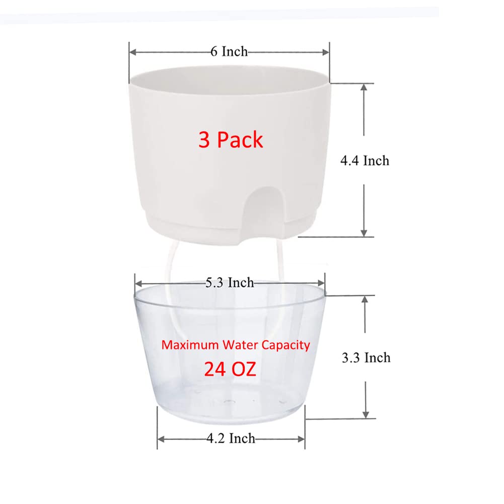 Self Watering Planters for Indoor Plants, 3 Pack 6 Inch African Violet Pots, Modern Decorative Flower Pots with Transparent Water Reservoir, Perfect for Indoor House Plants, Flowers (White)