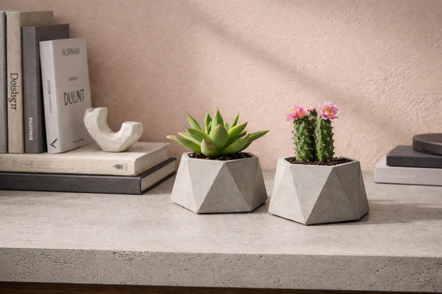 UpBiggin Concrete Plant Pots – Set of 2, 3 Inch Hexagonal Succulent Planters with Drainage – Small Flower Pots for Indoor Plants, Cactus & Herbs – Modern Home Décor, Pot Plante Intérieu
