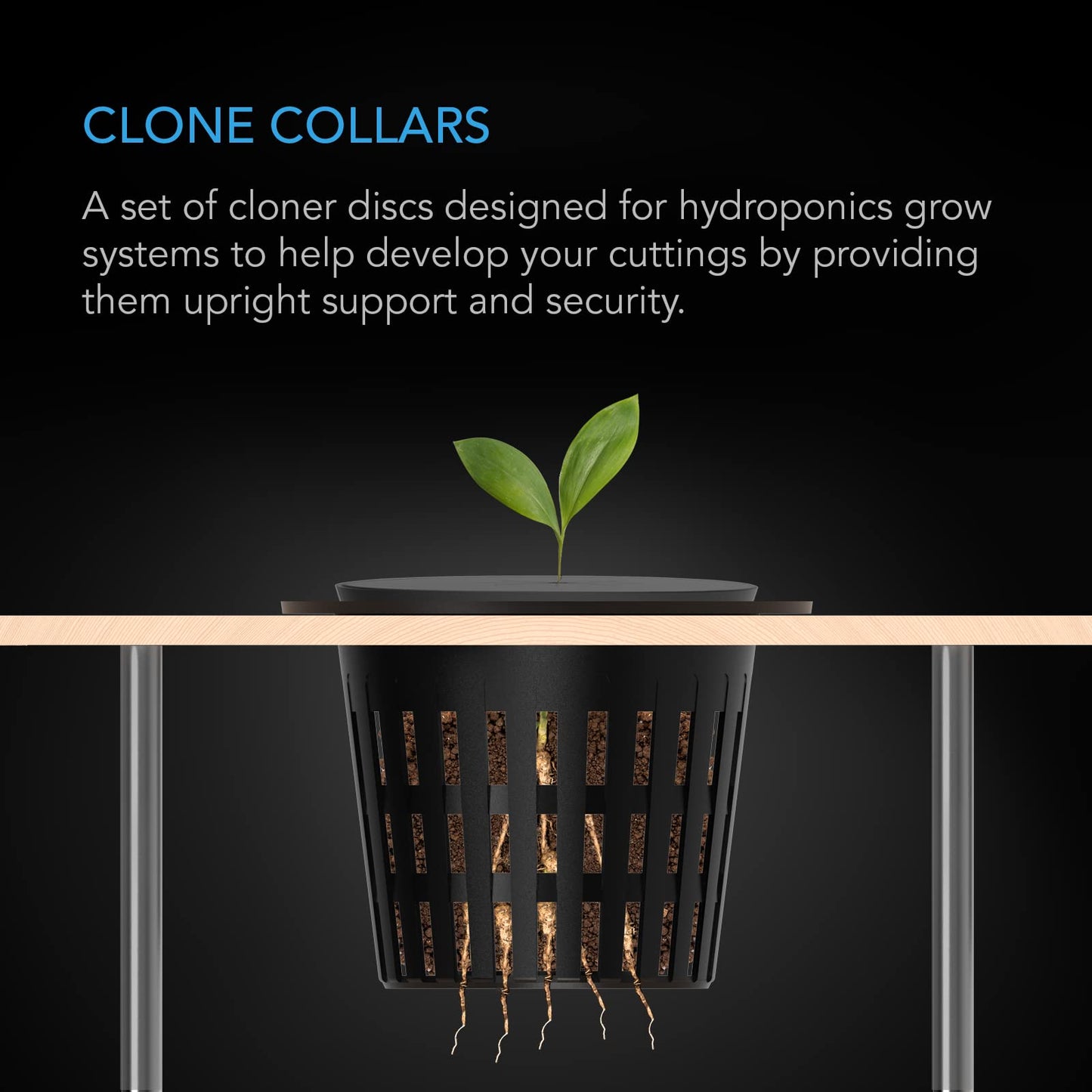 AC Infinity Clone Collar 3-Inch, Cloner Inserts with 8-Spoke Design, 50-Pack for Use with Net Cups in Hydroponics Growing Systems, Aeroponics, Cloning Machines, and Home Gardening