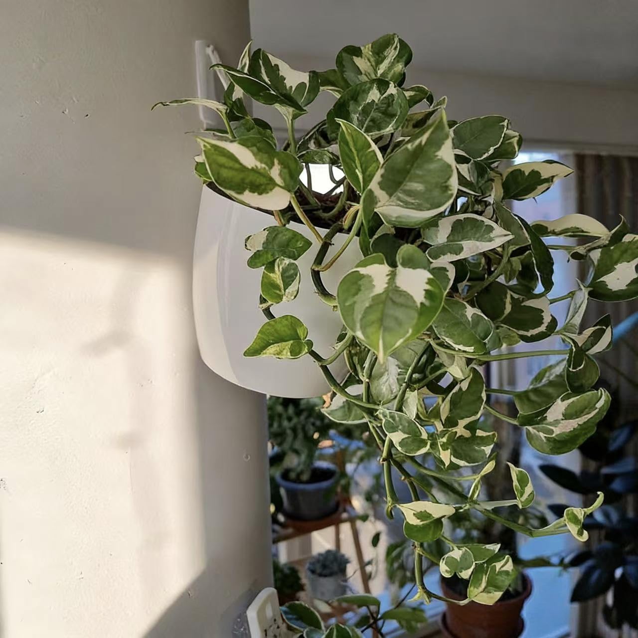 3 Pack Hanging Planter Pots Self Watering Vertical Garden Wall Mount Window Hang Round Plastic Container Indoor Outdoor for Plants Flowers Succulent Kitchen Living Herbs Holder Decor Decoration White