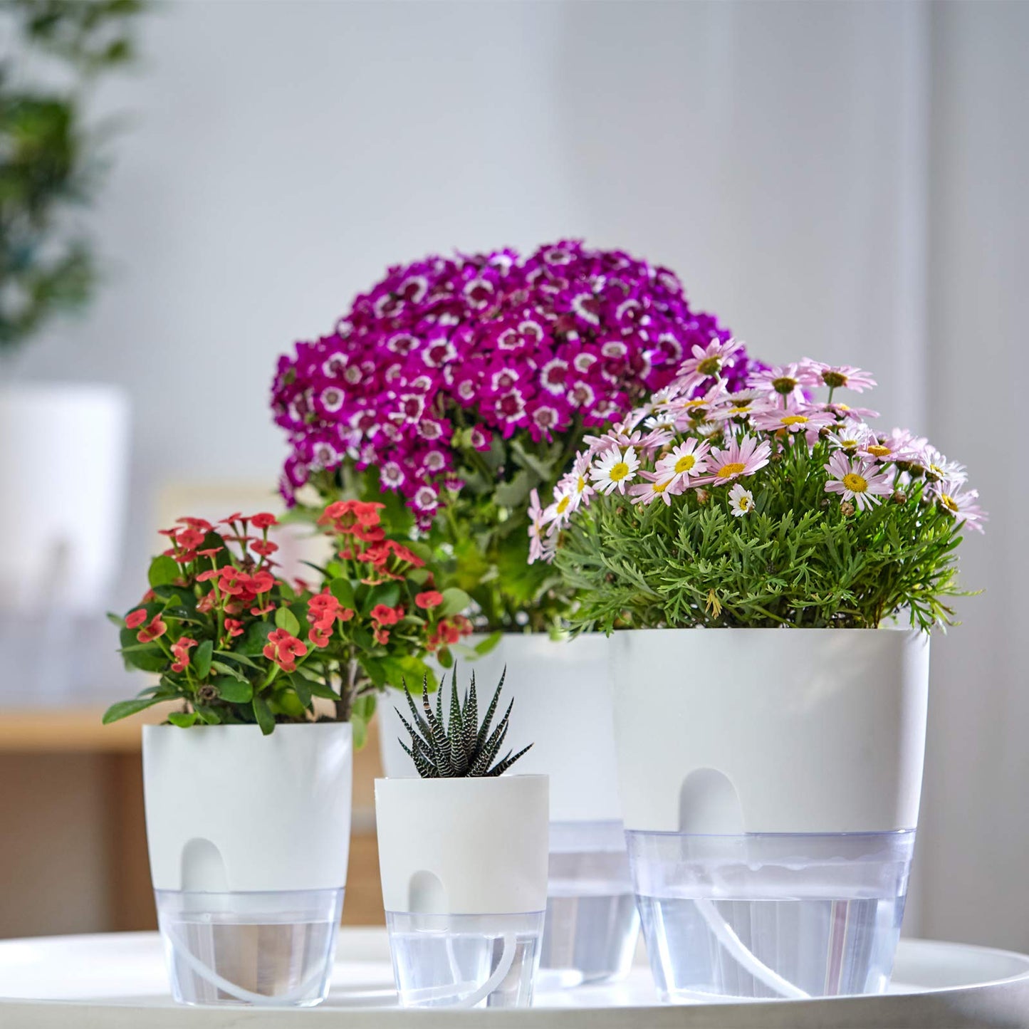 Self Watering Pots for Indoor Plants, ETGLCOZY 5 Pack 6/4.1/3.2 Inch Flower Pot Modern Decorative Plastic Planter with Extra Large Water Storage for All House Plants, Flowers, Herbs