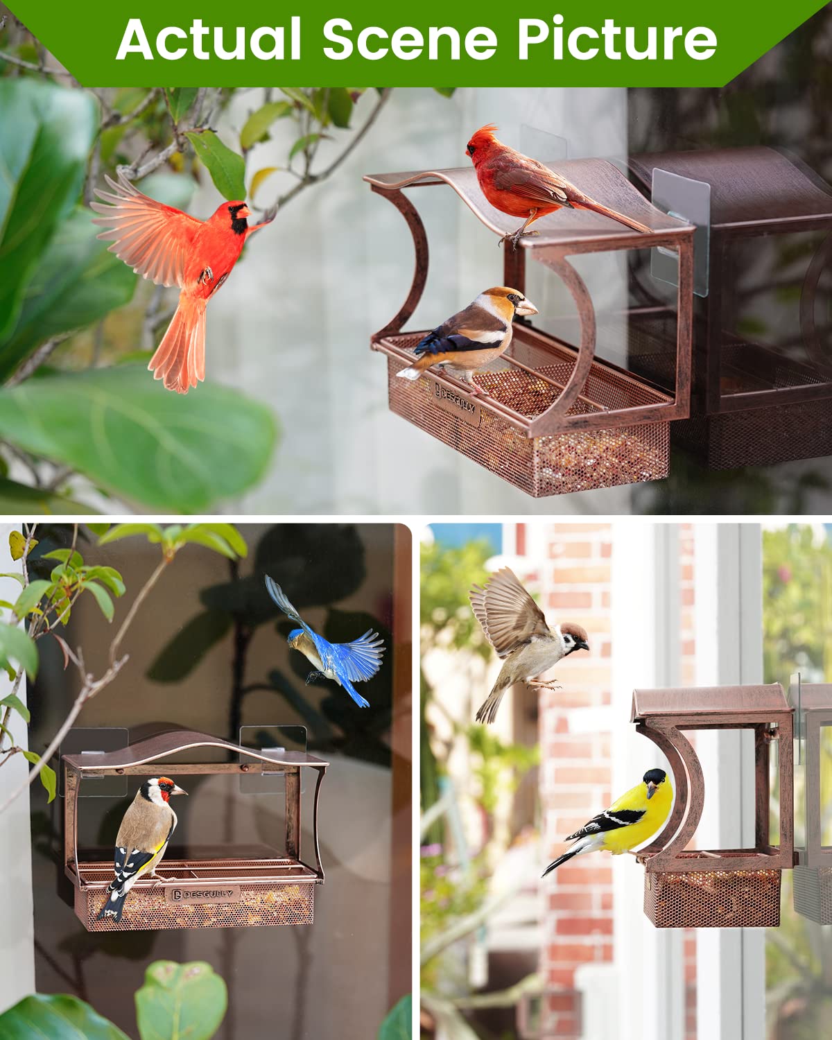 Window Bird Feeder, Desgully Durable Metal Window Bird Feeder, Window Bird Feeders with Strong Suction Cups, Super Adhesive Sheet×4,Large Outdoor Bird Feeder, Bird Watching Gift, Wild Bird Feeder