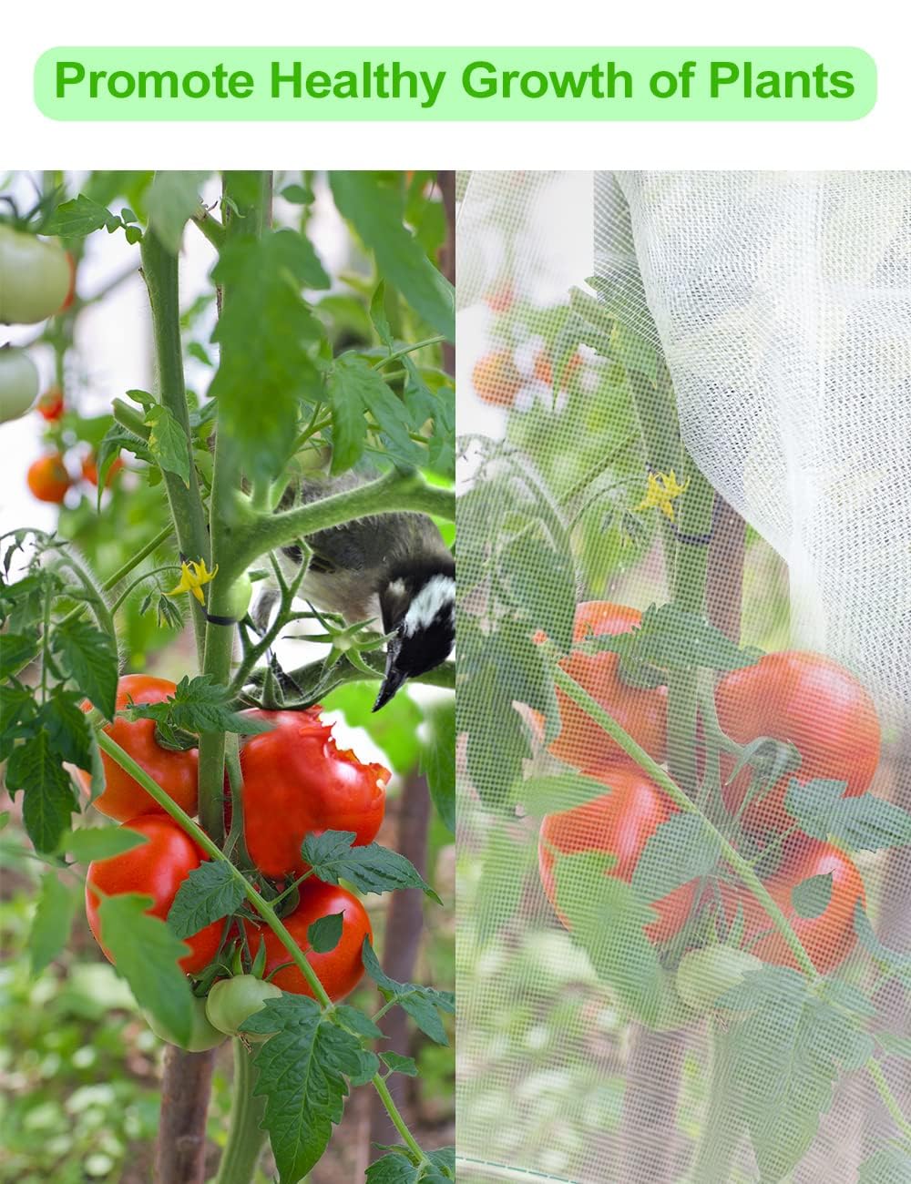 wohohoho 8 x 8ft Large Fruits Tree Netting, Insect Bird Barrier Tree Net with Drawstring and Zipper, Plant Cover Fruit Tree Protection to Prevent Tomato Blueberry Vegetables from Squirrels Birds