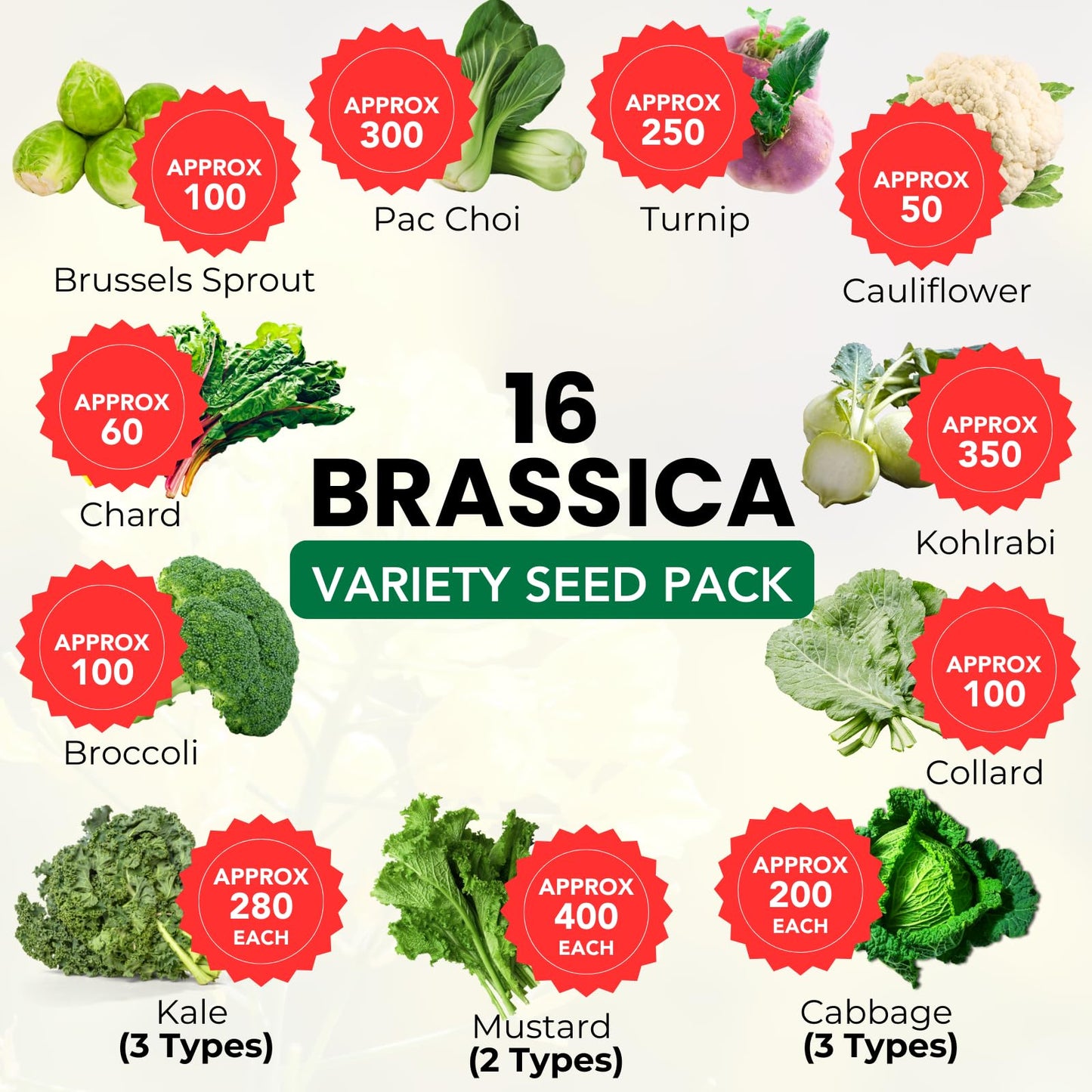 Brassica Varieties Seed Pack | 16 Varieties of Cool Weather Vegetable Seeds | Cabbage, Broccoli Seeds, & More, Easy to Grow for Canadian Gardens | Limitless Growth