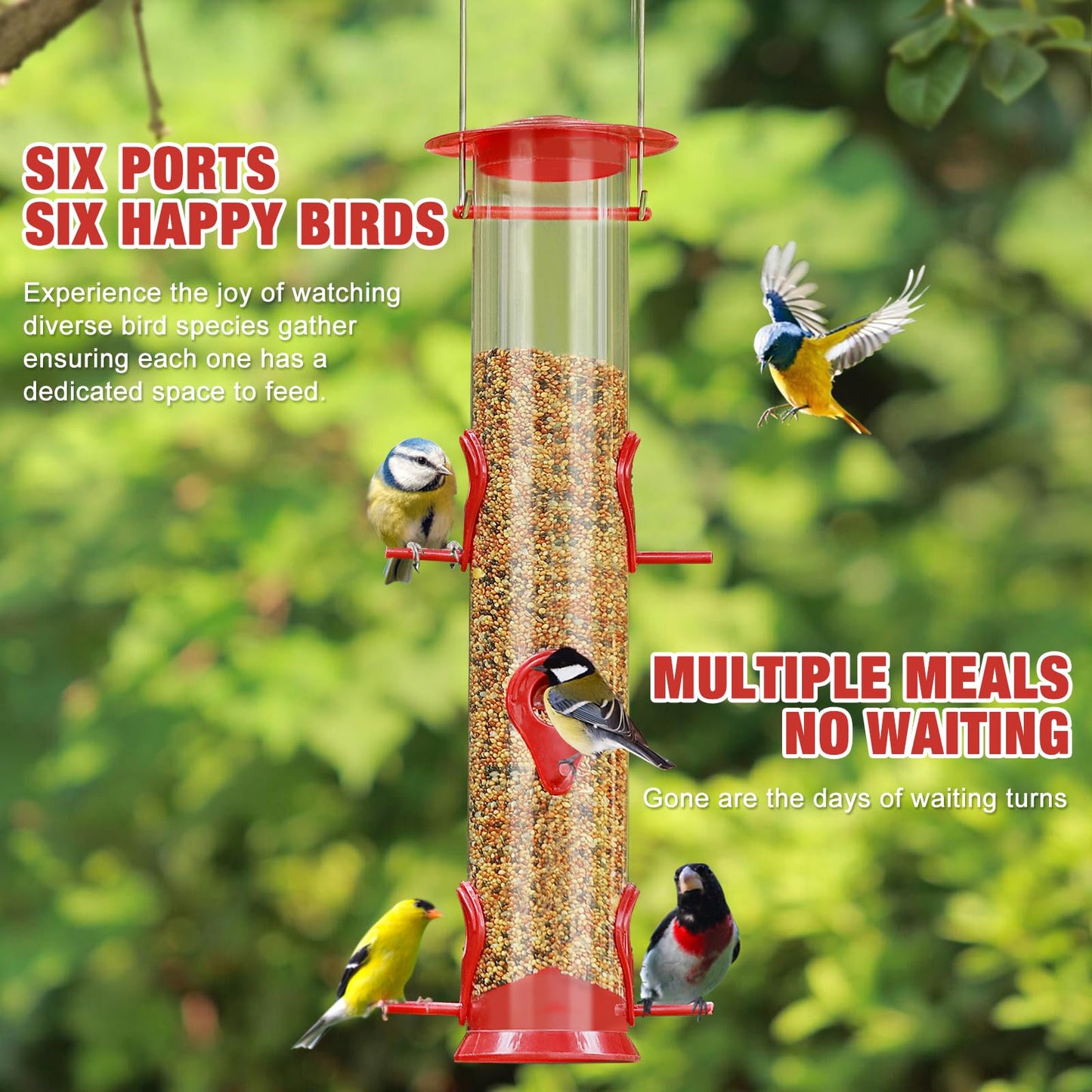 Bird Feeder Hanging Classic Tube Hanging Feeders with 6 Feeding Ports Premium Hard Plastic with Steel Hanger Weatherproof and Water Resistant Great for Attracting Birds Outdoors Garden Red 2Packs