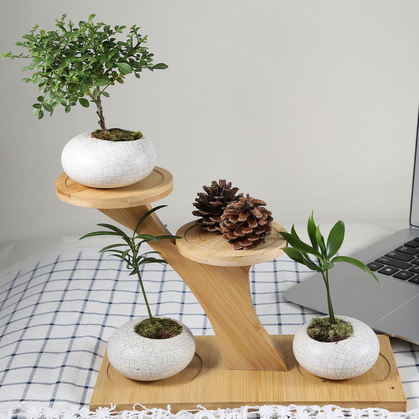 QruiLanTu Window Sill Plant Shelf,Desk Desktop Bamboo Plant Stand, Table Succulent Plant Stand for Home, Office, Living Room, Bedroom Decoration(2set)