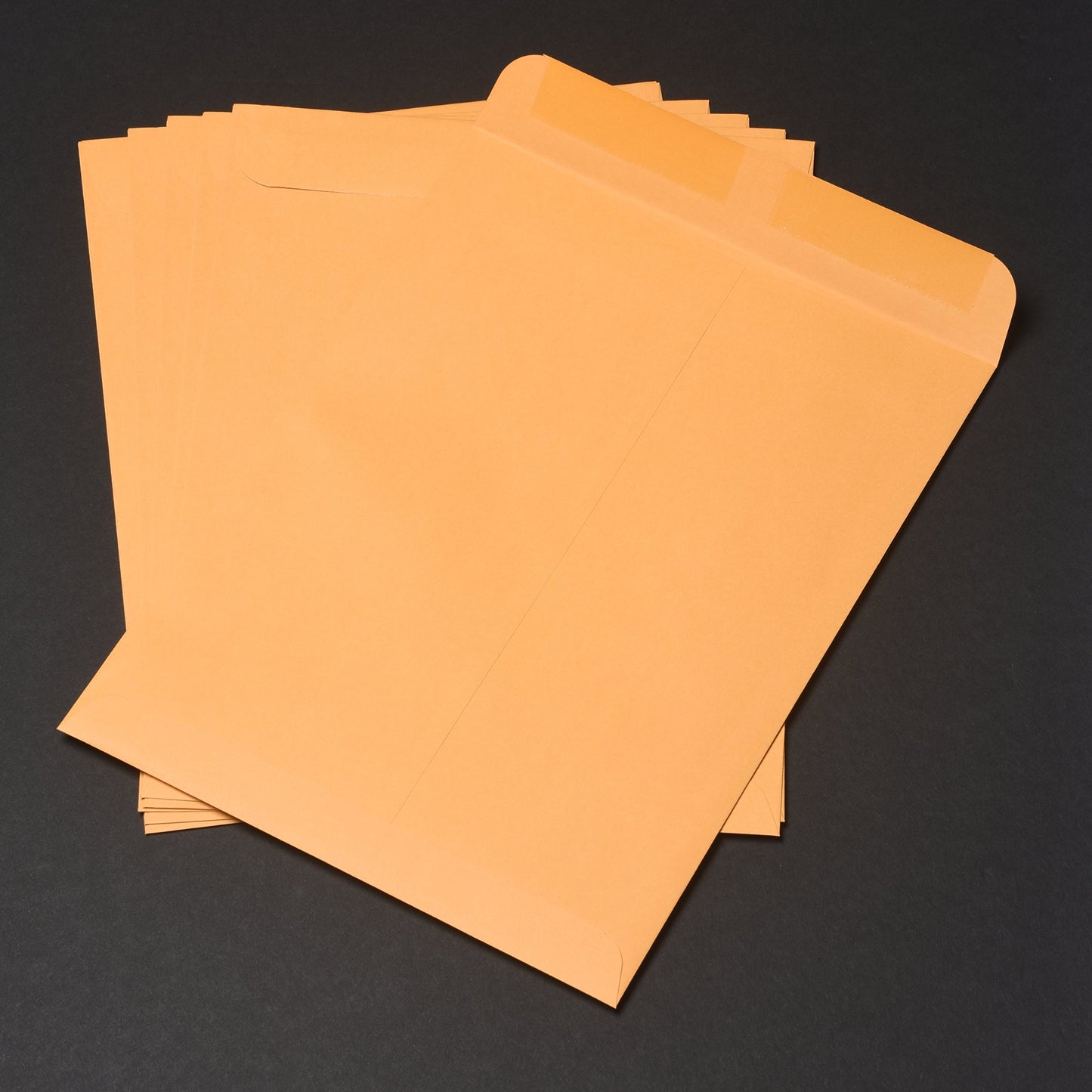 Quality Park Redi-Seal 6 X 9 Inch Kraft Catalog Envelopes 100 Count (43167)