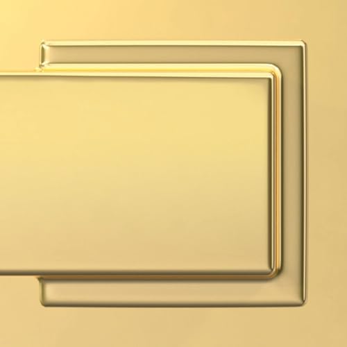 Schlage F10 GEO 605 CAM Georgian Door Knob with Camelot Trim, Hall & Closet Passage Lock, Bright Brass