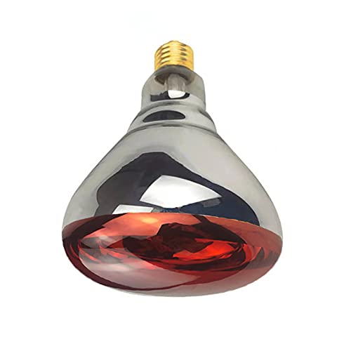 BONGBADA 2 Pack Heat Lamp 250 Watts Infrared Bulbs Red Glass Lamp Bulb for Food Service, Brooder Bulb, Chicks, Pet, Bathroom, Light Therapy Use E26 Base, Flood Light Heat Lamp Bulb