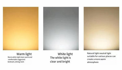 12V Low Voltage LED Light Bulbs - Daylight 7W(Only for 12-36V), Pack of 6