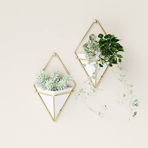Umbra Trigg Hanging Planter Vase Wall Decor, Set of 2 Pots Containers for Succulents, Cactus, Faux Plants, and More, Small, White/Brass