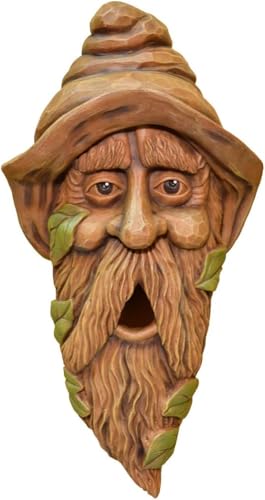 Red Carpet Studios Birdie in The Woods Birdhouse, Long Face Hank