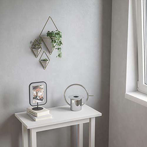 Umbra Trigg Hanging Planter Vase Wall Decor, Set of 2 Pots Containers for Succulents, Cactus, Faux Plants, and More, Small, White/Brass