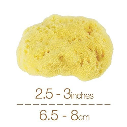 IntimateCare Sea Sponges. 2X 6.5-8cm Mediterranean Sponges in Plastic Free Packaging. Absolute Quality