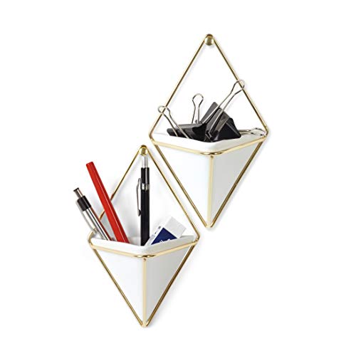 Umbra Trigg Hanging Planter Vase Wall Decor, Set of 2 Pots Containers for Succulents, Cactus, Faux Plants, and More, Small, White/Brass