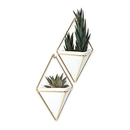 Umbra Trigg Hanging Planter Vase Wall Decor, Set of 2 Pots Containers for Succulents, Cactus, Faux Plants, and More, Small, White/Brass