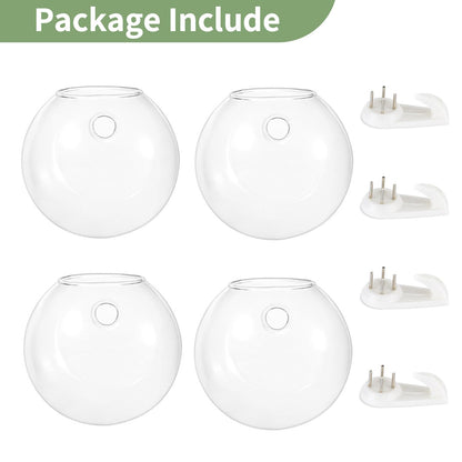 NUPTIO Wall Hanging Planters Terrarium: 4Pcs Clear Glass Wall-Mounted Vases for Indoor Office Garden Living Room - Oblate Plant Pots Hydroponic Containers Propagation Stations for Flowers