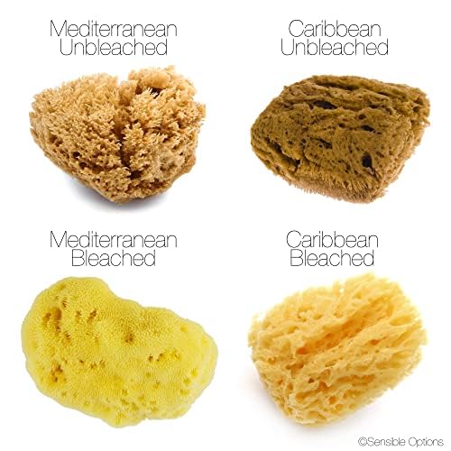 IntimateCare Sea Sponges. 2X 6.5-8cm Mediterranean Sponges in Plastic Free Packaging. Absolute Quality