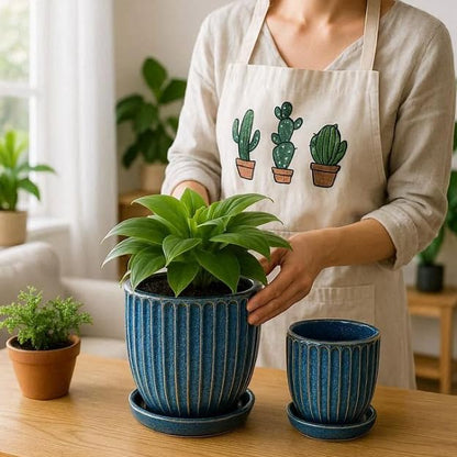 6 Inch Ceramic Plant Pots with Drain Hole & Saucer, Ceramic Pots for Indoor Plants - Succulent, Snake Plant, Money Tree, Aloe Vera, Basil Planter（Glaze Blue）