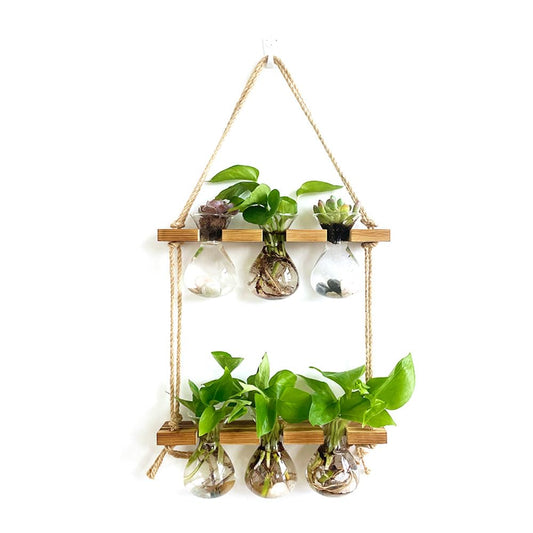 2 Tiered Plant Propagation Station,Hanging Propagation Station,Plant Propagation Station Wall Hanging,Gardening Gifts for Women