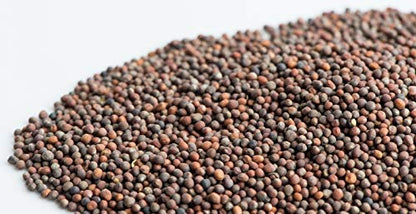 Broccoli Sprouting Seeds | Brocoli Graines à Germer | Organic & Non-GMO | Net Wt. 200 Grams (Approx. 78,800 Seeds) | High Germination Rate | Packaged in Canada