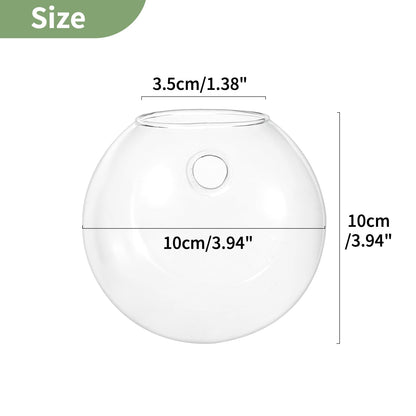 NUPTIO Wall Hanging Planters Terrarium: 4Pcs Clear Glass Wall-Mounted Vases for Indoor Office Garden Living Room - Oblate Plant Pots Hydroponic Containers Propagation Stations for Flowers