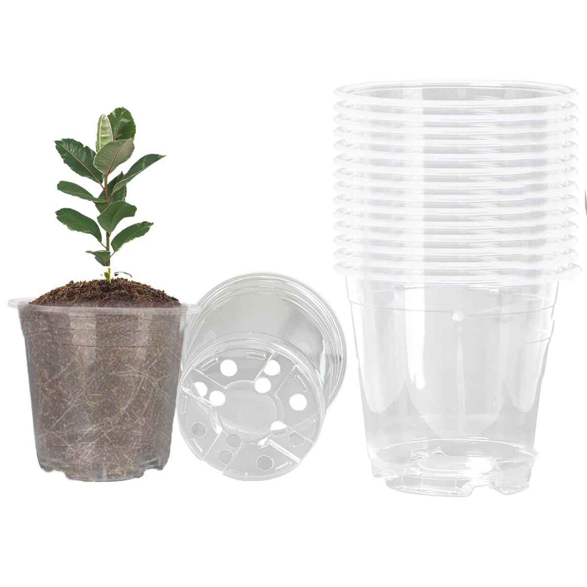 Clear Nursery Pots 20PCS 6" Plastic Plant Pot Transparent Flower Pots Seed Pot Starter Pot for Seedling Nursery Supplies Grow Pot Planter Flower Pot Container for Seedling Cultivation(Clear)