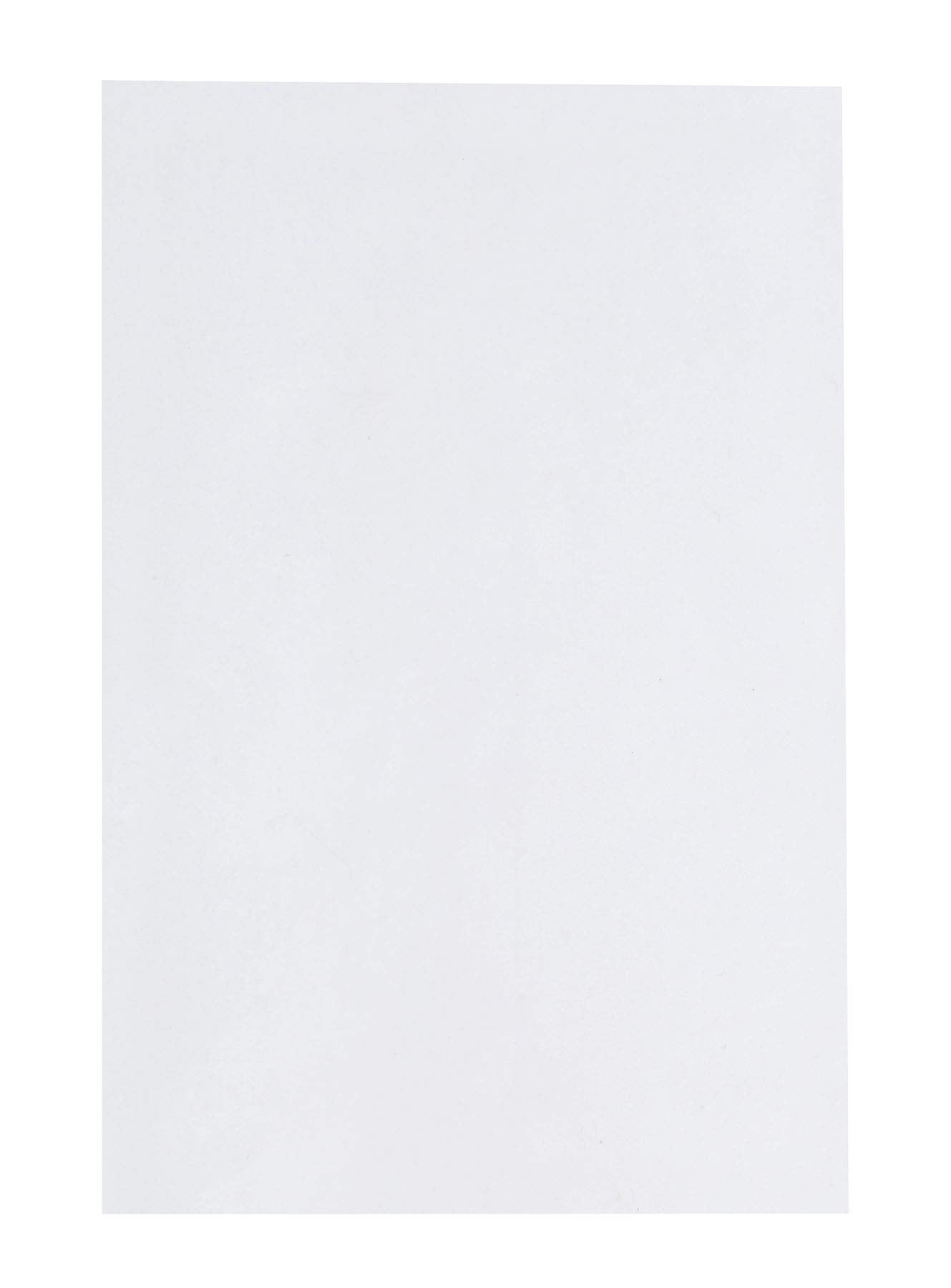 Quality Park Catalog Envelope, 6-Inch X 9-Inch, White, Redi-Strip, 100 Envelopes (44182)
