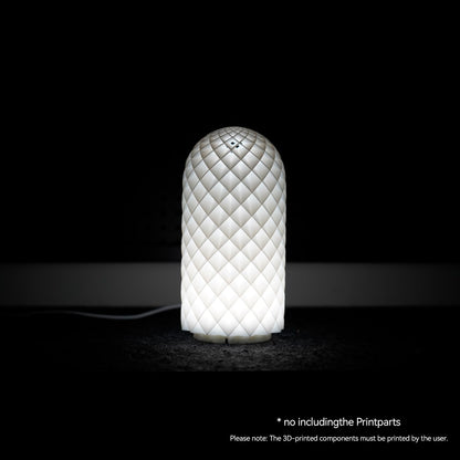 BambooSegD 3PCS LED Lamp Kit 001 Three Colors for Bambu Lab H2D/X1/P1P/A1 mini Makerworld for anycubic Makeronline 3D Printer Light DIY Hardware Model Spare Parts 5V USB Powered, 3000K Warm Light