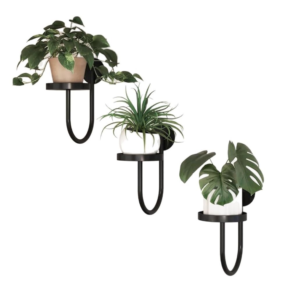 3 Pack Wall Plant Holder Wall Planters Black Metal Plant Wall Shelf Indoor Plants Hanger Modern Wall-Mounted Hanging Planter for Outdoor Livingroom Window Bedroom Balcony Patio Flower Pot Decor