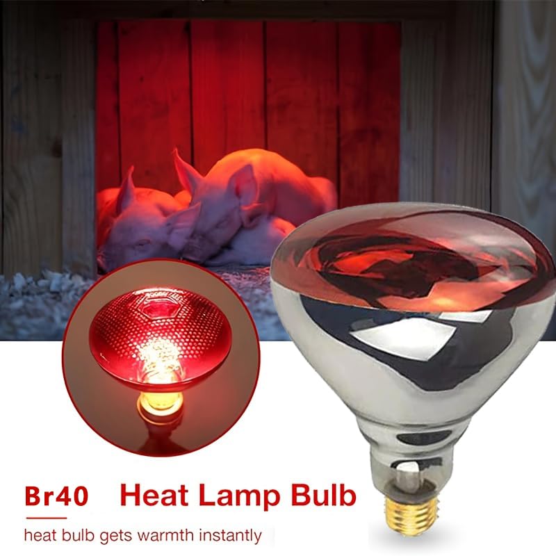 BONGBADA 2 Pack Heat Lamp 250 Watts Infrared Bulbs Red Glass Lamp Bulb for Food Service, Brooder Bulb, Chicks, Pet, Bathroom, Light Therapy Use E26 Base, Flood Light Heat Lamp Bulb