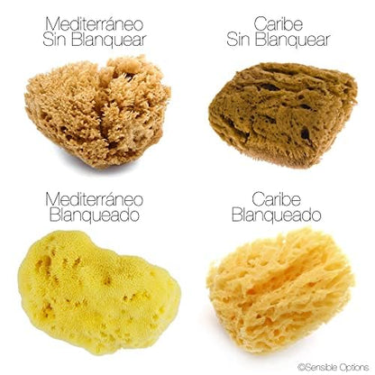 IntimateCare Sea Sponges. 2X 6.5-8cm Mediterranean Sponges in Plastic Free Packaging. Absolute Quality