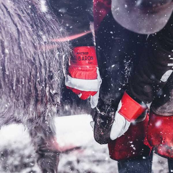 Watson Gloves Classic Red Baron Winter Work Glove - Full-Grain Cowhide Leather, Heavy Sherpa Lining, Cotton Drill Back