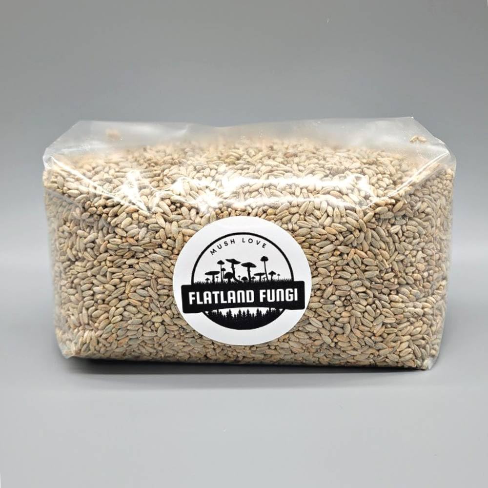 Rye Mushroom Grain Spawn | 2.5LB | Pre-Sterilized | Injection Port | Grow Mushrooms at Home | Made in Canada | Flatland Fungi