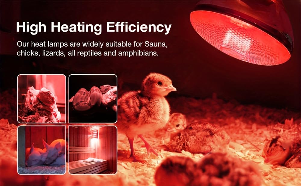 BONGBADA 2 Pack Heat Lamp 250 Watts Infrared Bulbs Red Glass Lamp Bulb for Food Service, Brooder Bulb, Chicks, Pet, Bathroom, Light Therapy Use E26 Base, Flood Light Heat Lamp Bulb