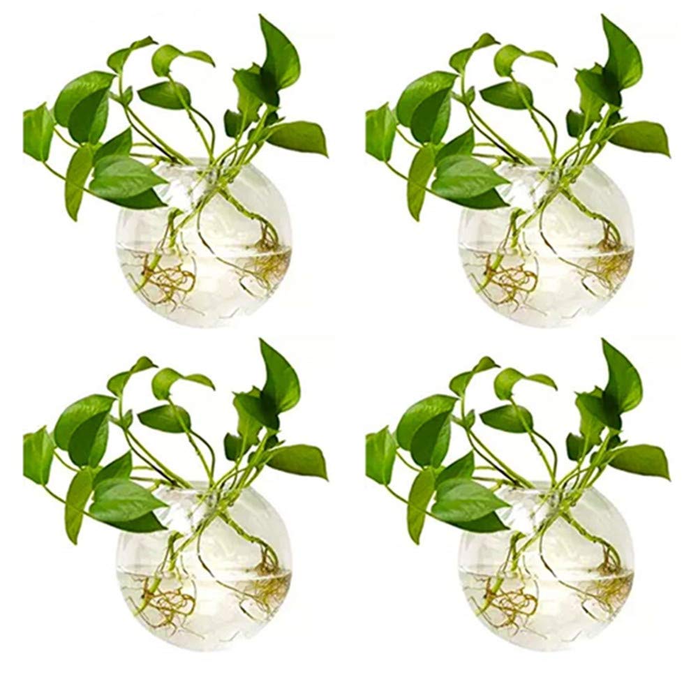 NUPTIO Wall Hanging Planters Terrarium: 4Pcs Clear Glass Wall-Mounted Vases for Indoor Office Garden Living Room - Oblate Plant Pots Hydroponic Containers Propagation Stations for Flowers
