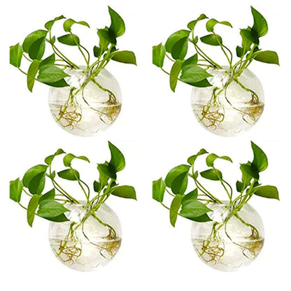NUPTIO Wall Hanging Planters Terrarium: 4Pcs Clear Glass Wall-Mounted Vases for Indoor Office Garden Living Room - Oblate Plant Pots Hydroponic Containers Propagation Stations for Flowers