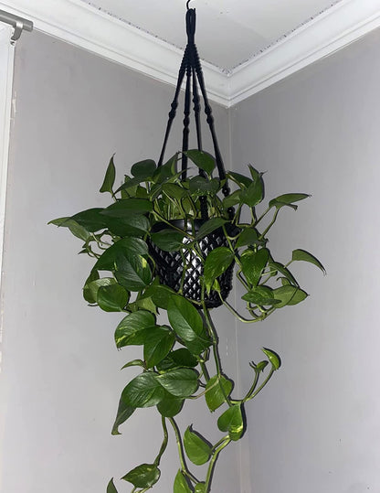 Shineloha 2 Pack 43 Inches Macrame Planter Hanger Large for 12 inch Pot (Extra Long & Big) + Swag Hook | Large Hanging Planter for Indoor Plants | No Pot/Plant Included (XL)