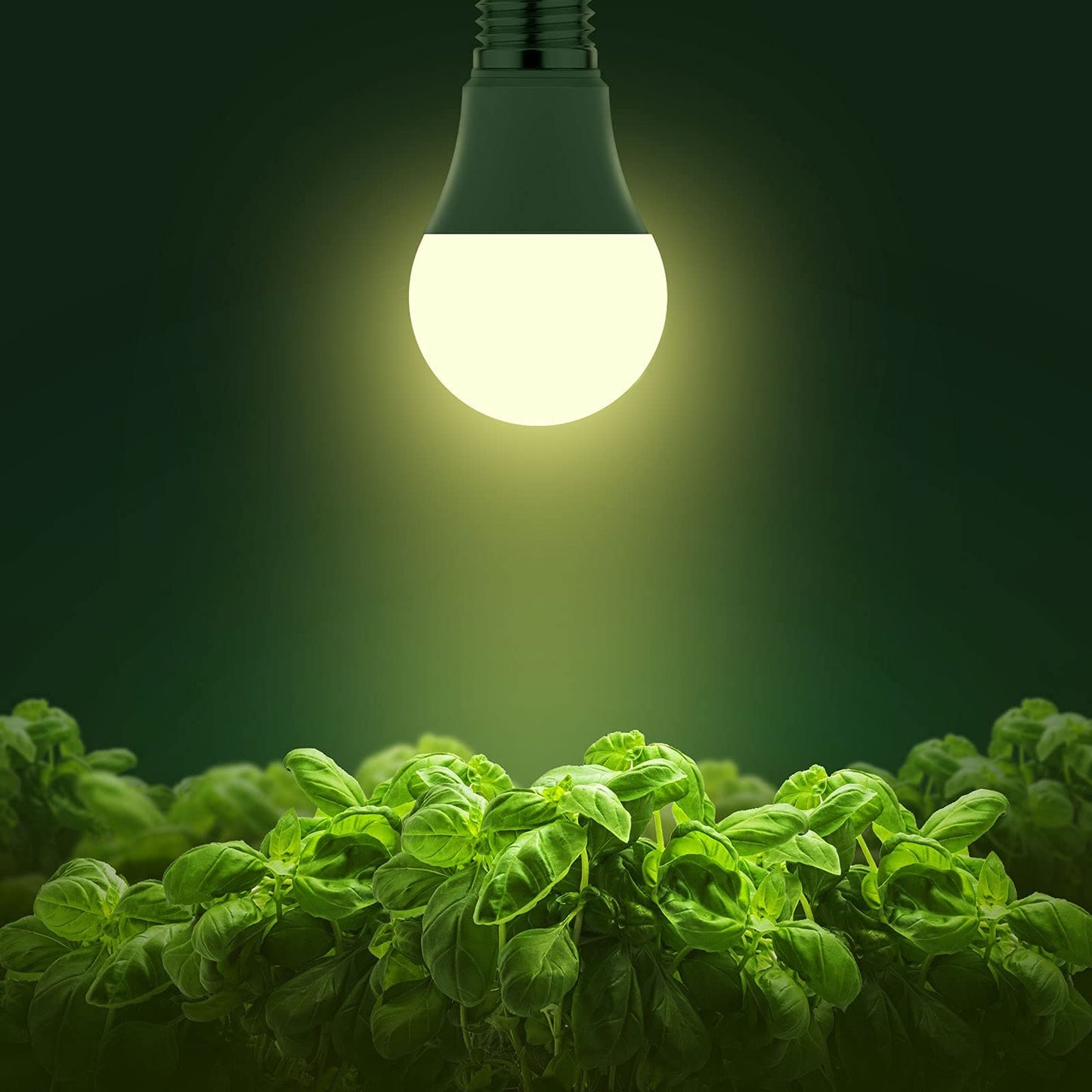 Briignite 4 Pack Grow Light Bulbs, LED Grow Light Bulb A19 Bulb, Full Spectrum Grow Light Bulb, Plant Light Bulbs E26 Base, 11W Grow Bulb 100W Equivalent, Grow Light for Indoor Plants, Seed Starting