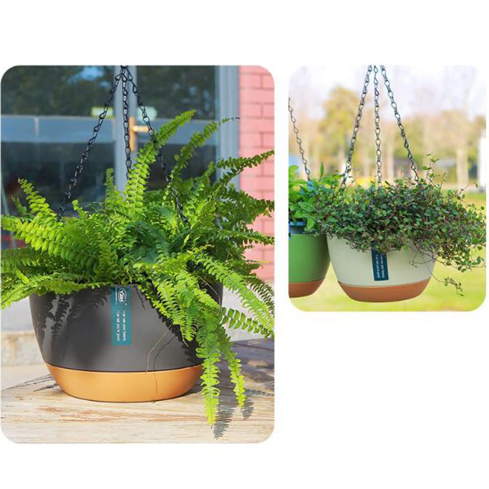 3 Pack 8 Inch Hanging Planter Planters for Indoor Plants Plant Hanger Wall and Outdoor Flower Pot with Visible Self-Watering Holder Pot Drainage Holes Removable Saucer Garden Home