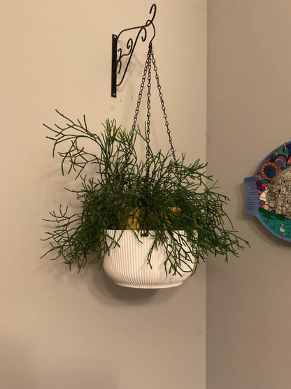 Welherkom 2 Pack Hanging flower pot, hanging planters and baskets, quality white 10 Inch hanging planters and baskets for home offices (white)