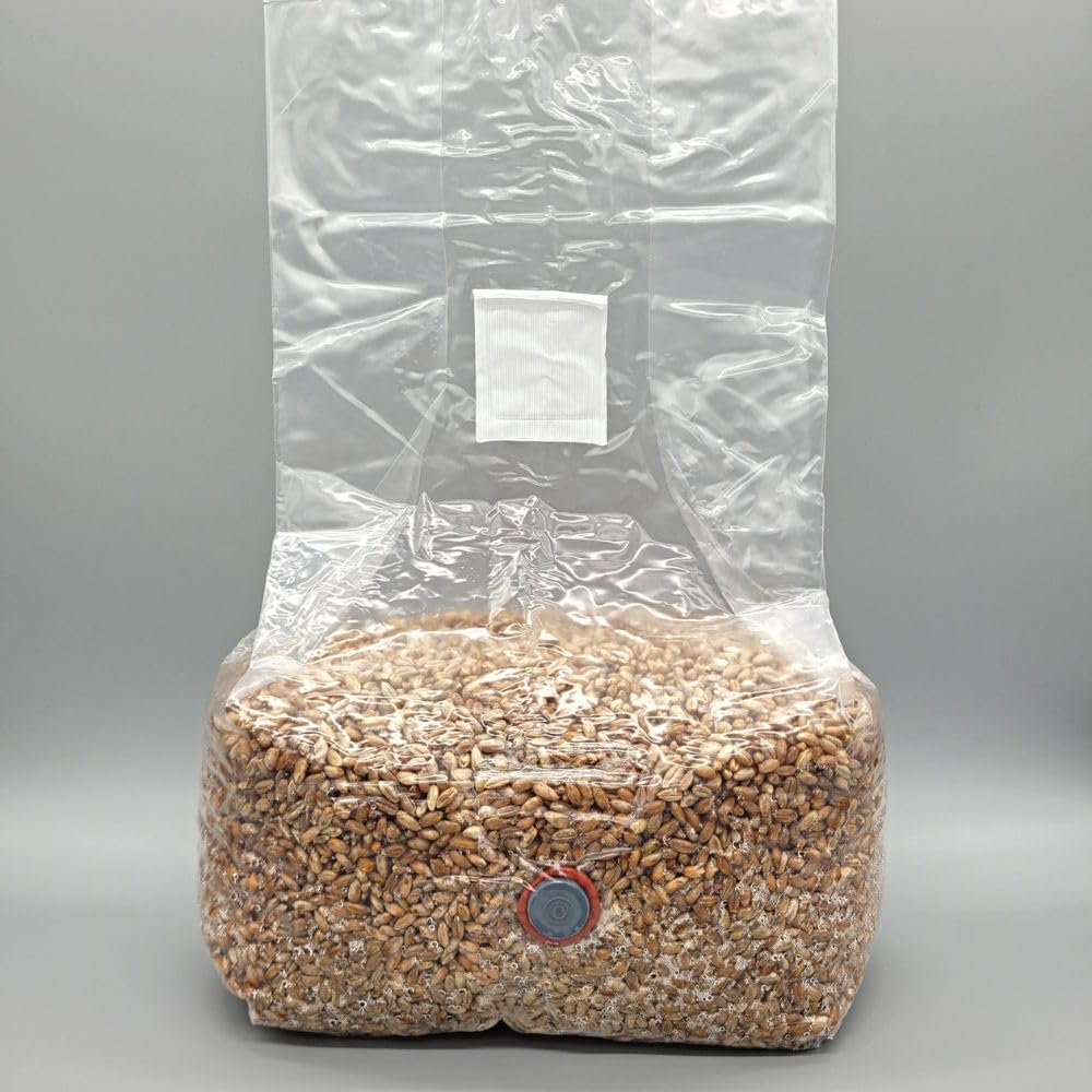 Rye Mushroom Grain Spawn | 2.5LB | Pre-Sterilized | Injection Port | Grow Mushrooms at Home | Made in Canada | Flatland Fungi