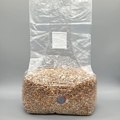 Rye Mushroom Grain Spawn | 2.5LB | Pre-Sterilized | Injection Port | Grow Mushrooms at Home | Made in Canada | Flatland Fungi