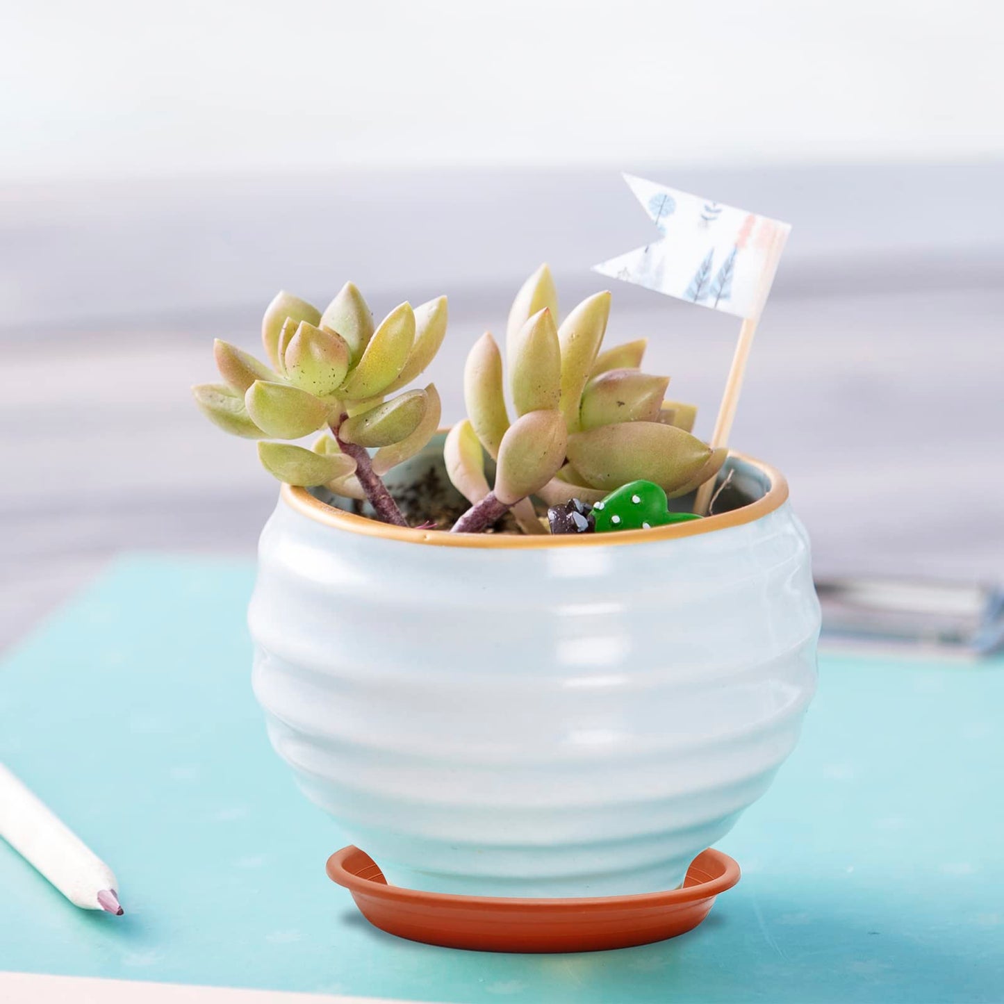 UOIENRT 12 Pcs Plant Saucer, 6/8.7/9.9 Inch Round Plastic Plant Trays, Garden Plant Saucer, Flower Pot Drip Trays for Outdoor and Indoor Plants
