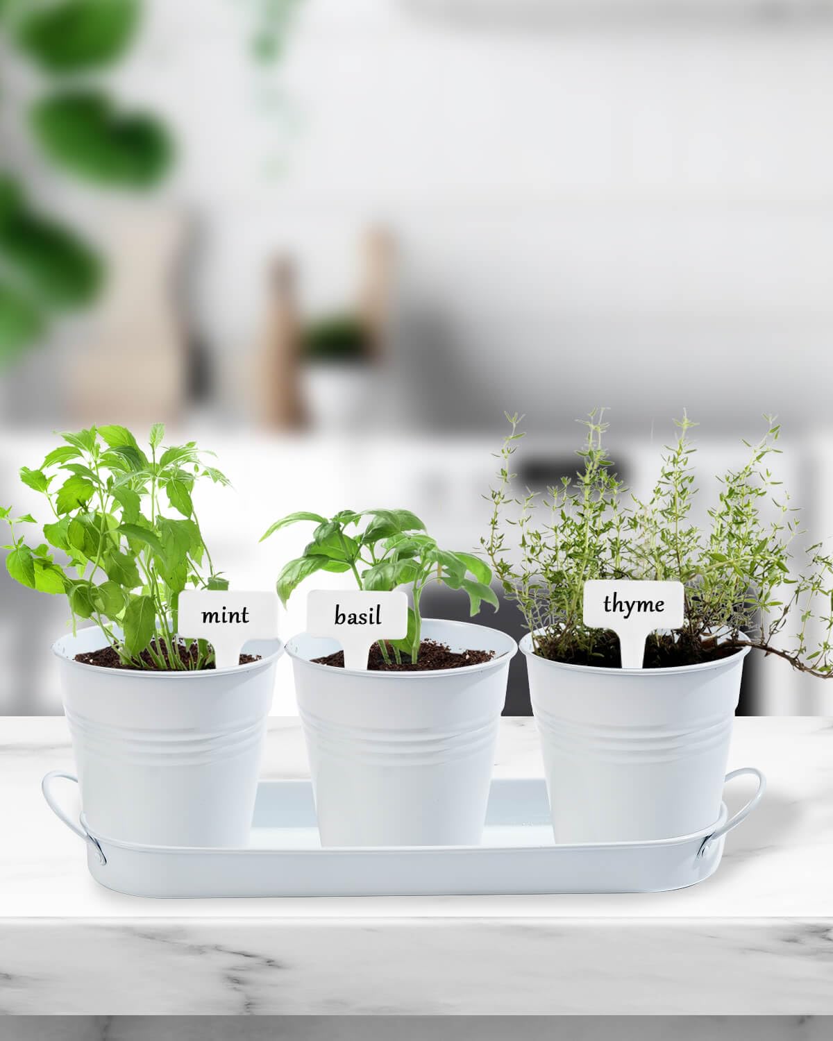 vensovo Indoor Herb Planter Set with Tray - Metal Windowsill Herb Plant Pot with Drainage & Plug for Garden Planter Outdoor, White