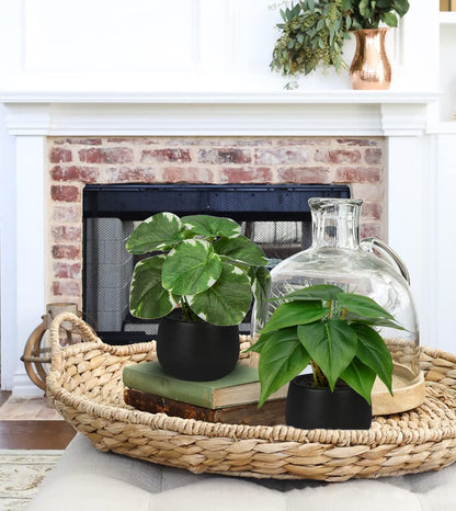 3 Pack Fake Plants Potted Artificial Plants Mini Faux Plants in Black Ceramic Pots Greenery Décor for Home Office Table Room Farmhouse Indoor Decoration