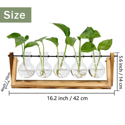Propagation Station, Plant Propagation Station Decoration Maison Garden Decor, Indoor Home Office Desk Decor Plant Holder Flower Pot Gifts for Women Mom Best Friend Birthday Gifts - 5 Bulb Vase