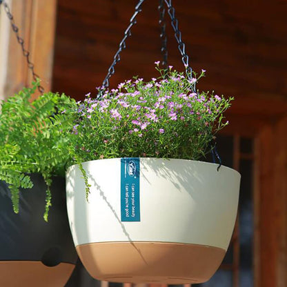 3 Pack 8 Inch Hanging Planter Planters for Indoor Plants Plant Hanger Wall and Outdoor Flower Pot with Visible Self-Watering Holder Pot Drainage Holes Removable Saucer Garden Home