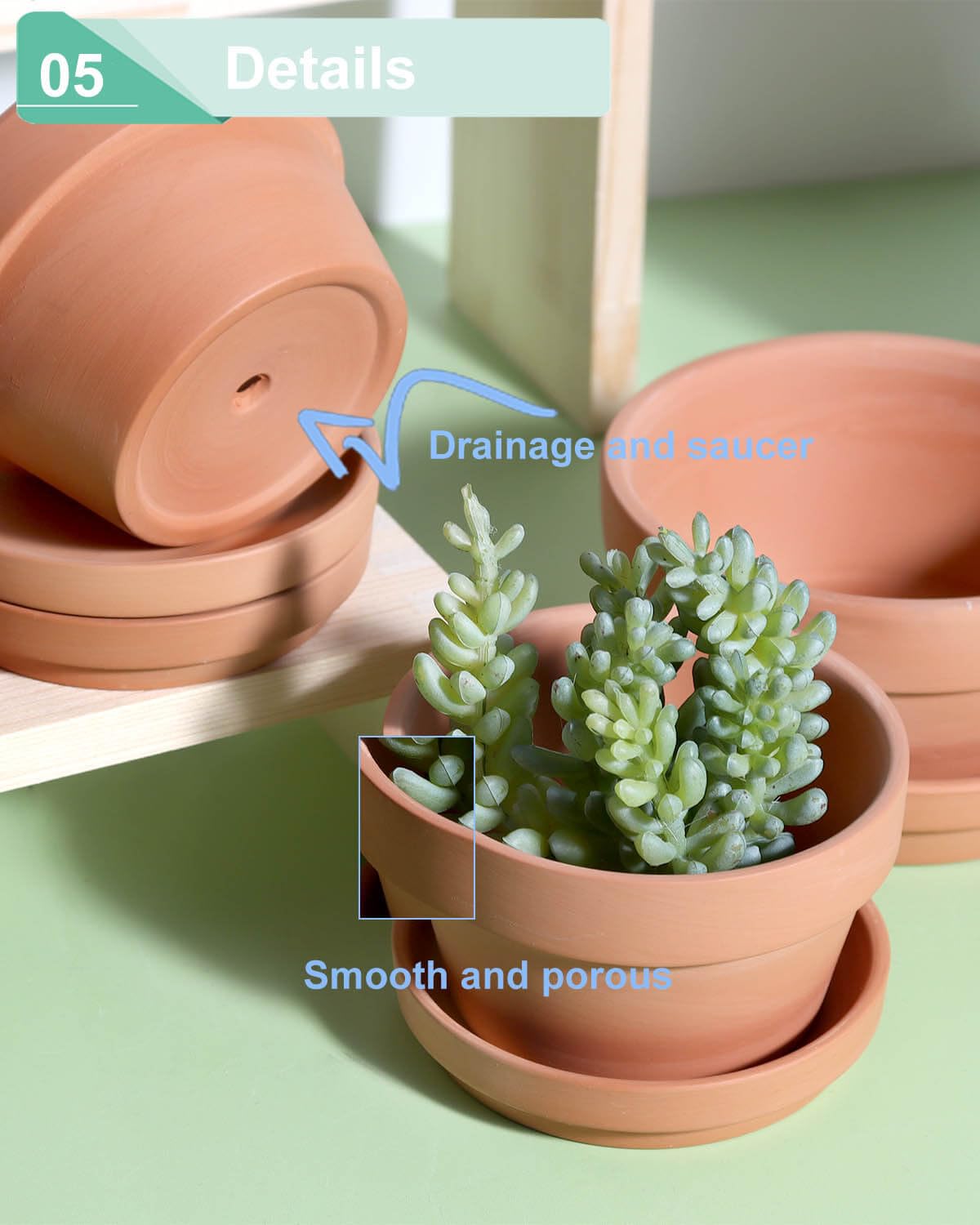 3.7 Inch Terracotta Shallow Succulent Pots - 6 Pack Terra Cotta Clay Pot with Saucer, Cacuts Indoor and Outdoor Planters with Drainage Hole