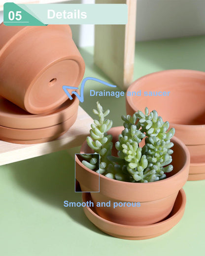 3.7 Inch Terracotta Shallow Succulent Pots - 6 Pack Terra Cotta Clay Pot with Saucer, Cacuts Indoor and Outdoor Planters with Drainage Hole